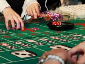 彩神v8首页2024最新版